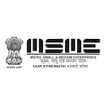 MSME-11